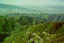 Blue Mountains Supreme